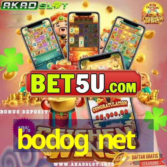 bodog net